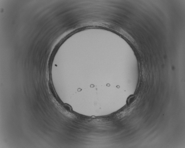 X0000078231028200612011534