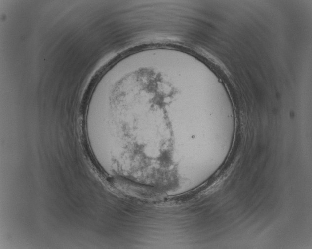 X0000078231029200612011534