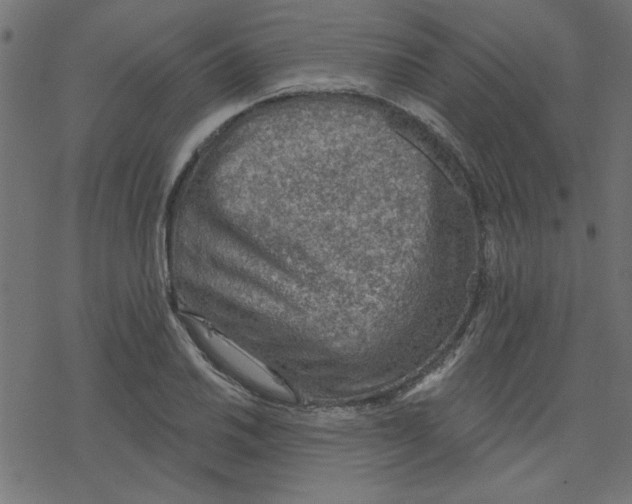 X0000078231030200612011534