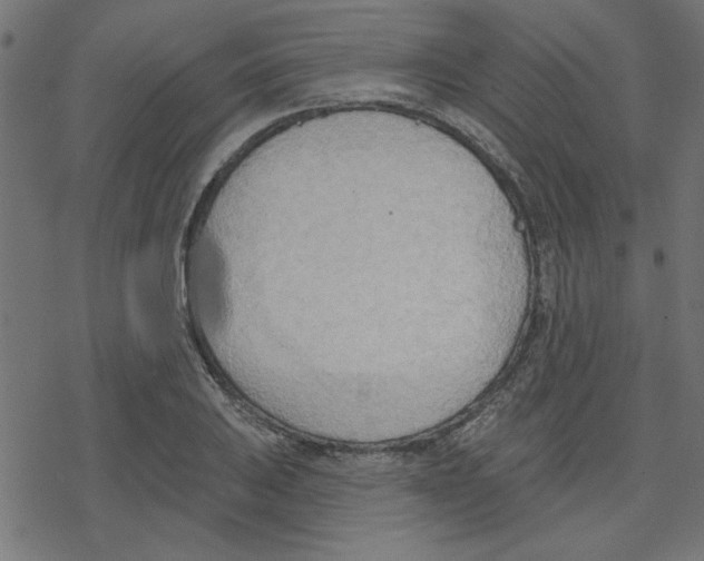 X0000078231031200612011534