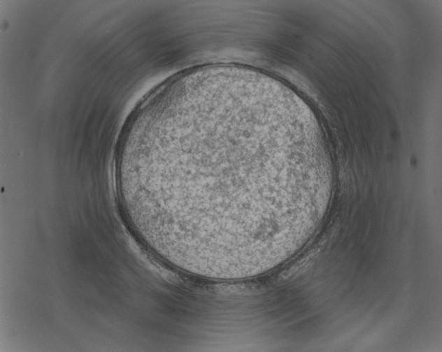 X0000078231032200612011535