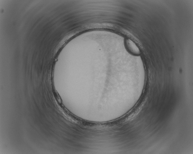 X0000078231033200612011535