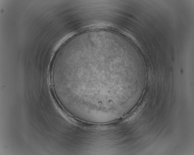 X0000078231034200612011535