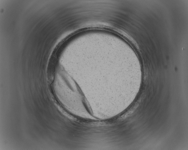 X0000078231037200612011535