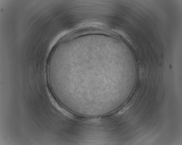 X0000078231038200612011535