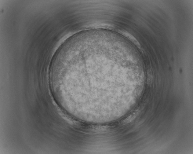 X0000078231039200612011535