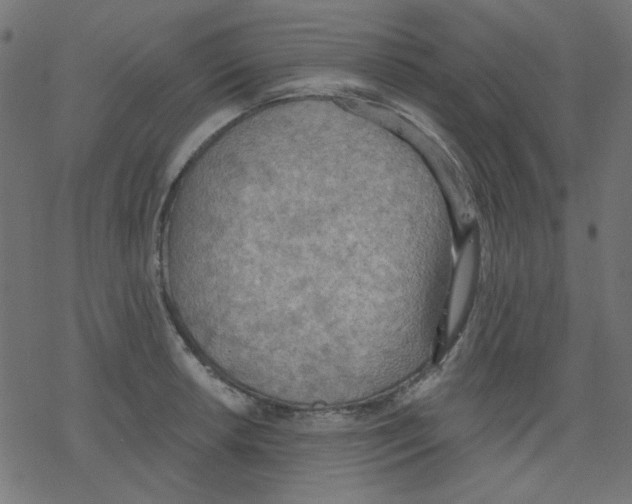 X0000078231042200612011535