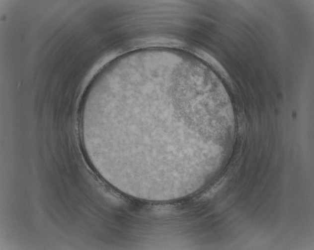 X0000078231043200612011535