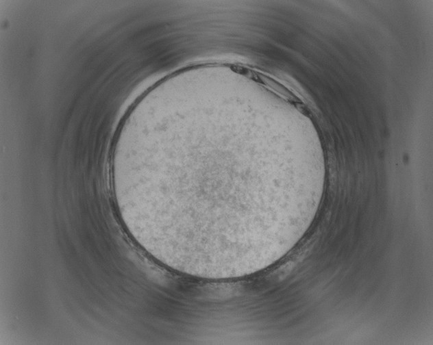 X0000078231044200612011535