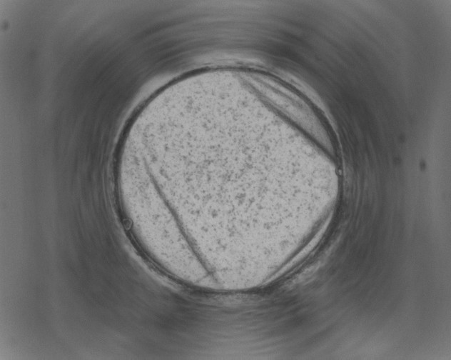 X0000078231045200612011535