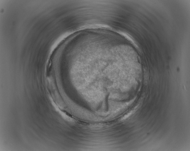 X0000078231046200612011535