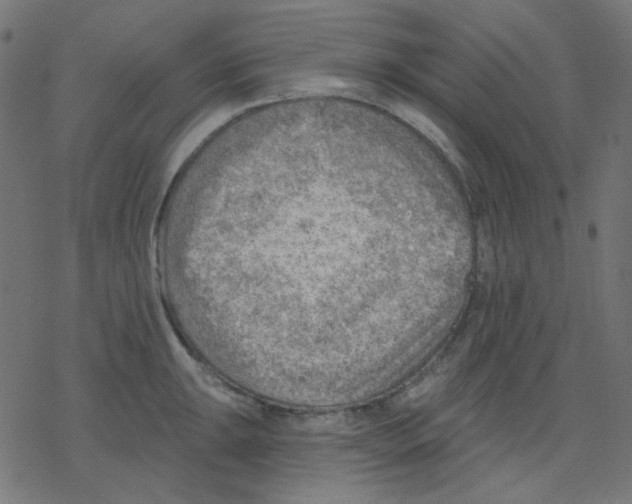 X0000078231047200612011535