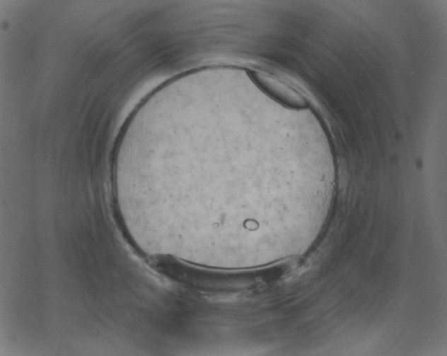 X0000078231048200612011535