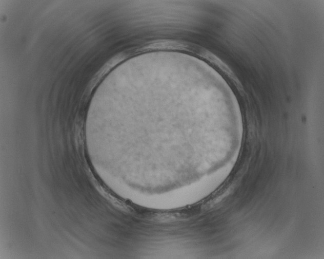 X0000078231049200612011535