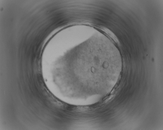 X0000078231052200612011535