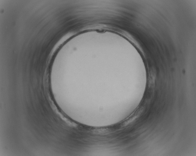 X0000078231053200612011535