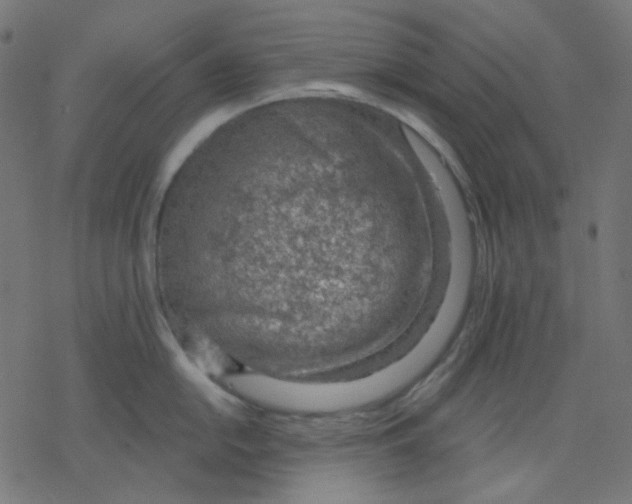 X0000078231054200612011535