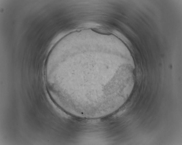 X0000078231055200612011535