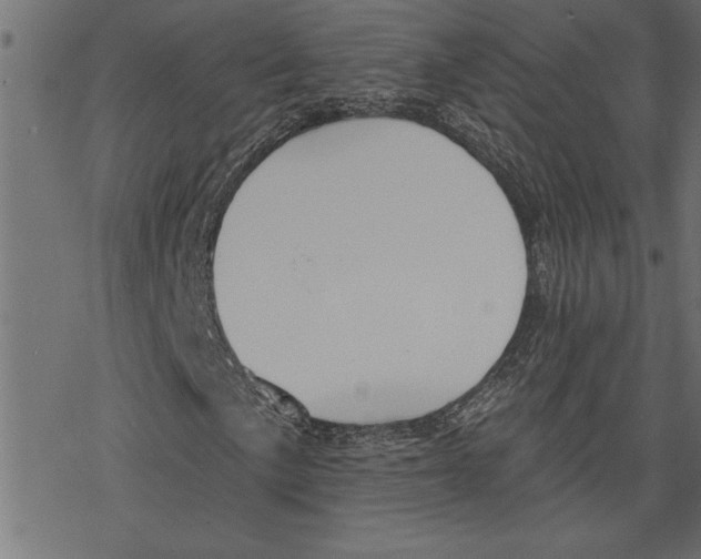 X0000078231057200612011534