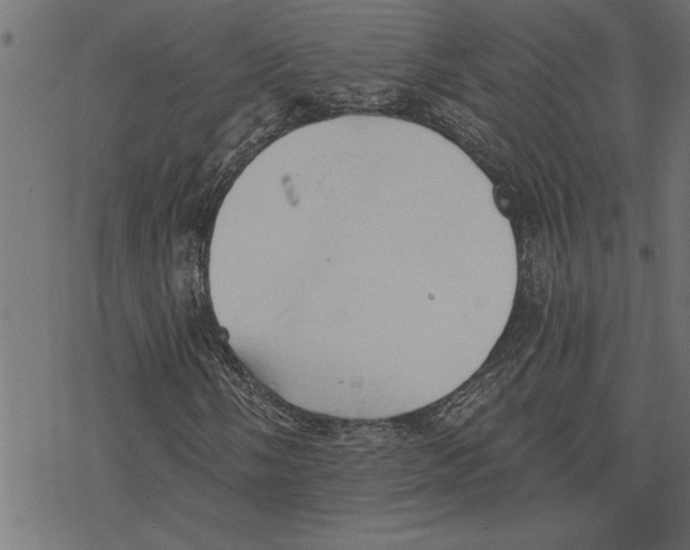 X0000078231058200612011534