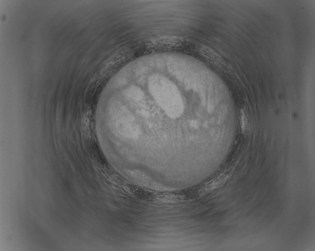 X0000078231059200612011534