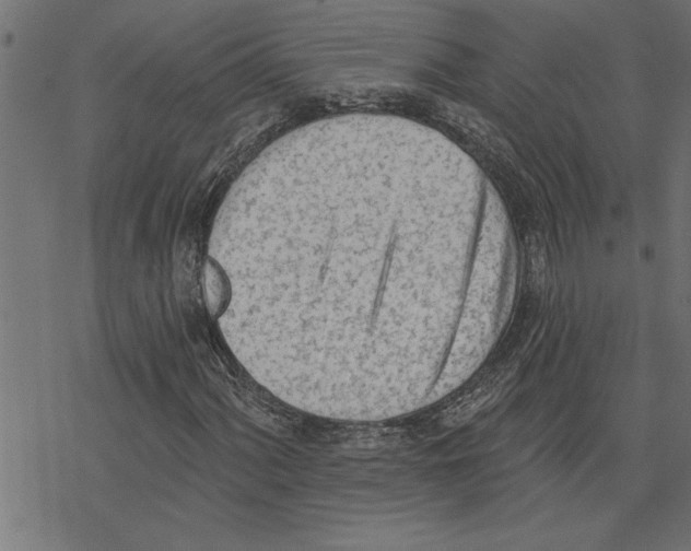 X0000078231060200612011534