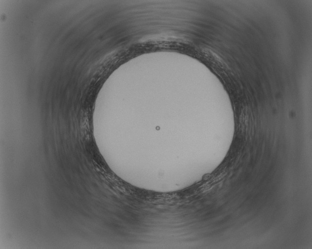 X0000078231062200612011534