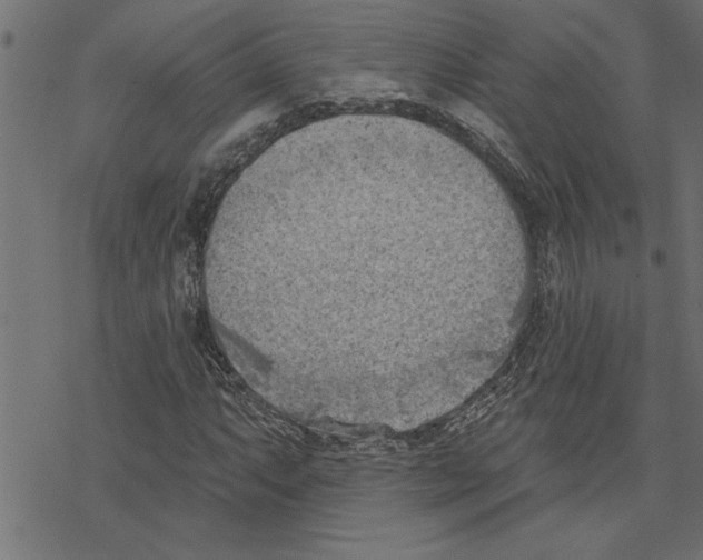 X0000078231063200612011534