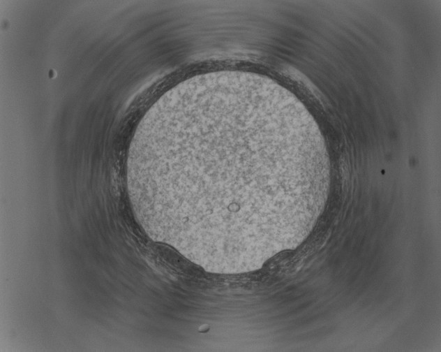 X0000078231064200612011534