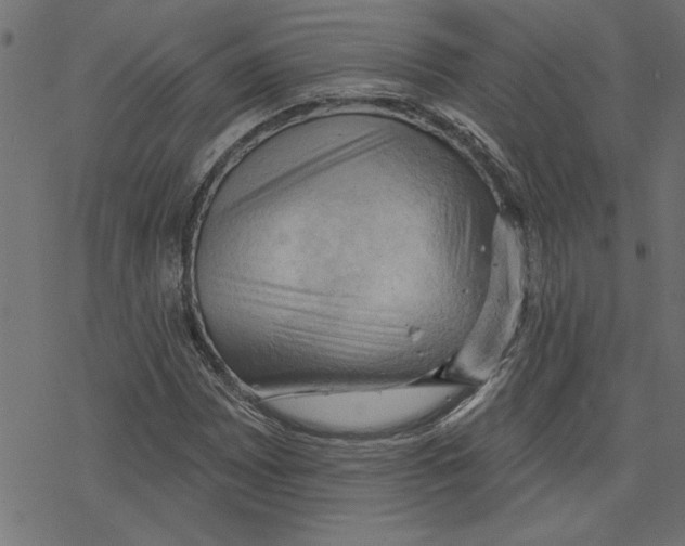 X0000078231065200612011534