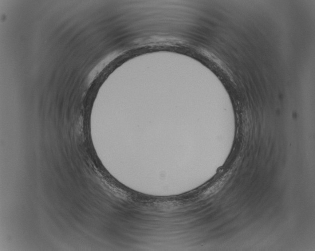 X0000078231066200612011534