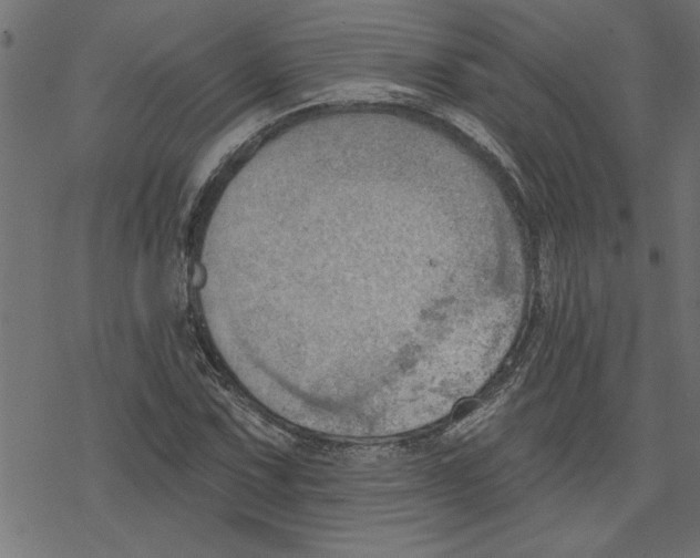 X0000078231067200612011534