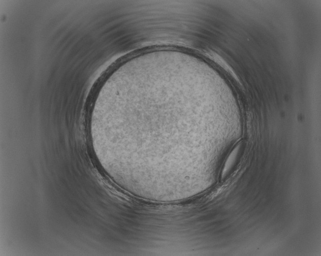 X0000078231068200612011534