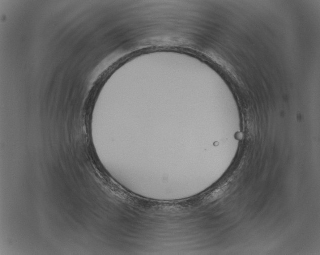 X0000078231070200612011534