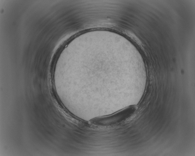 X0000078231072200612011534