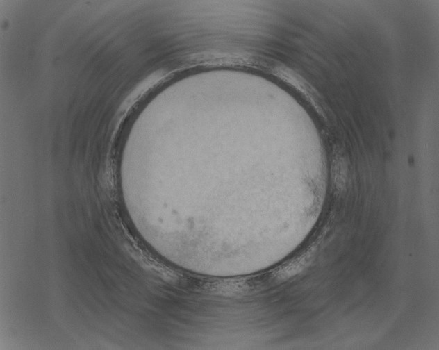 X0000078231074200612011534