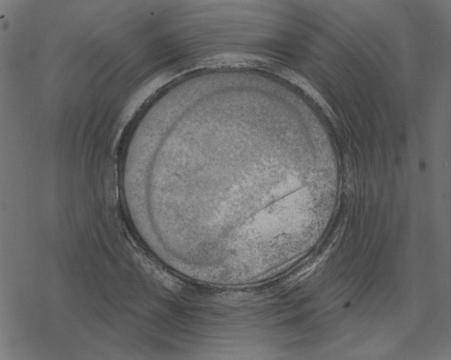 X0000078231075200612011534