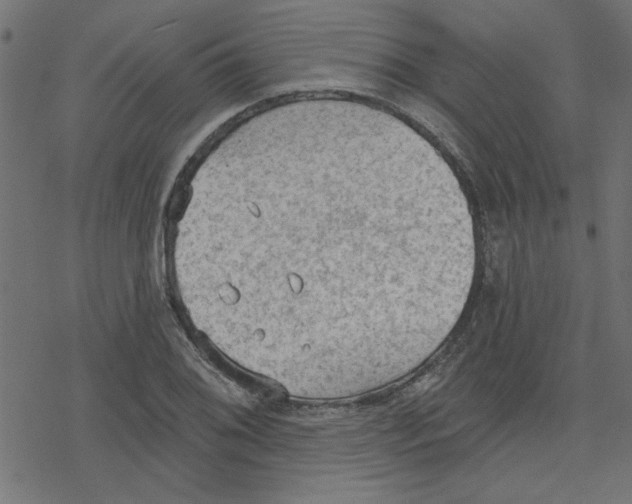 X0000078231076200612011534