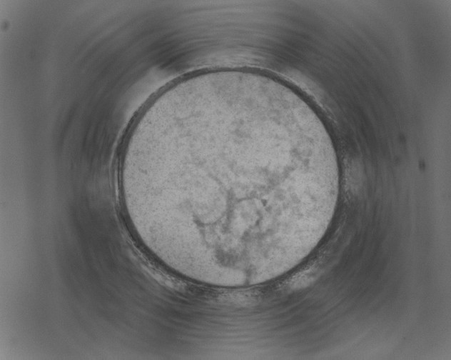 X0000078231078200612011534