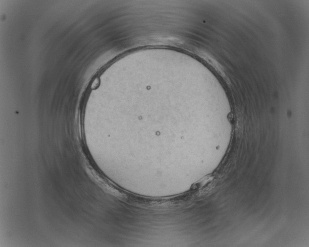 X0000078231080200612011534