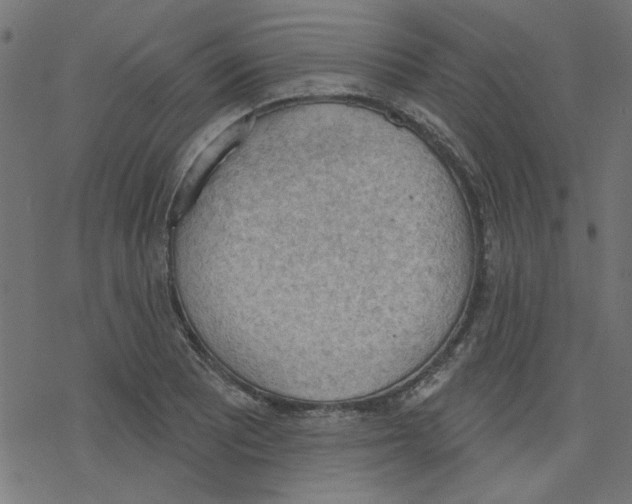 X0000078231081200612011534