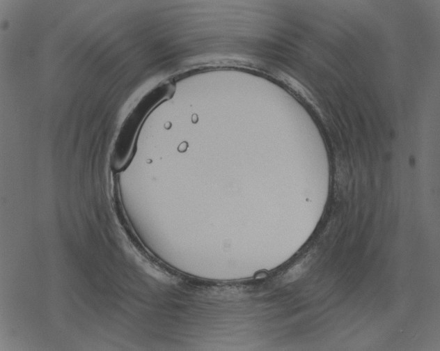 X0000078231082200612011534