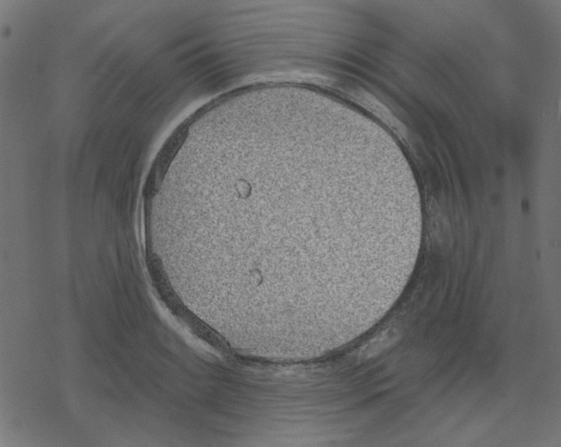 X0000078231084200612011534