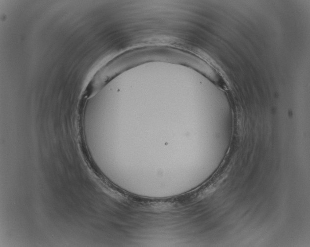 X0000078231085200612011534