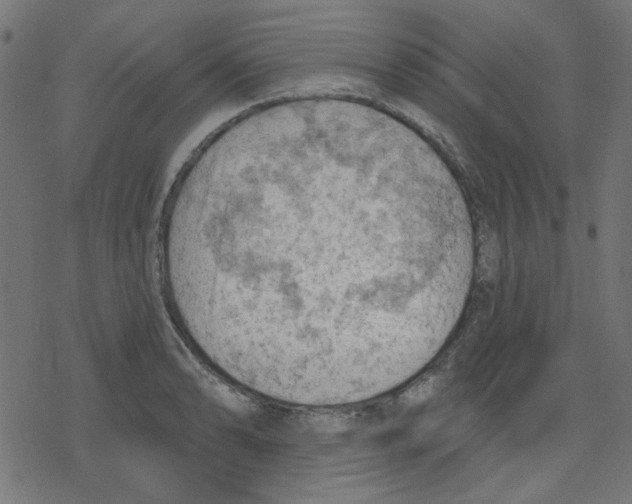 X0000078231086200612011534