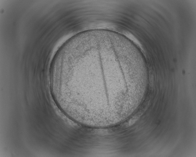 X0000078231088200612011534