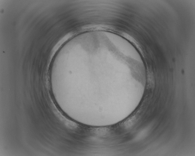 X0000078231090200612011534