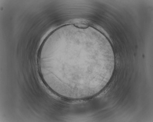 X0000078231091200612011534