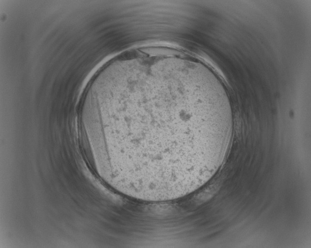 X0000078231092200612011534