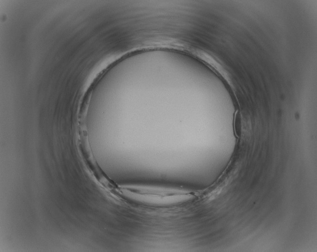 X0000078231093200612011534